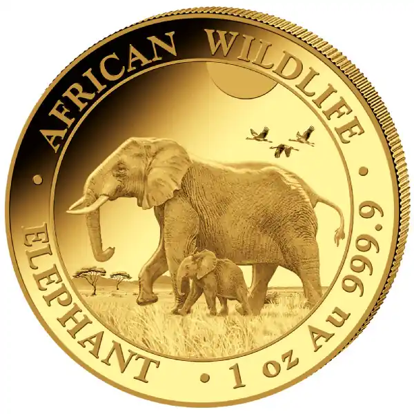 Wochenendangebot Somalia Elefant 1oz Goldmünze 2022