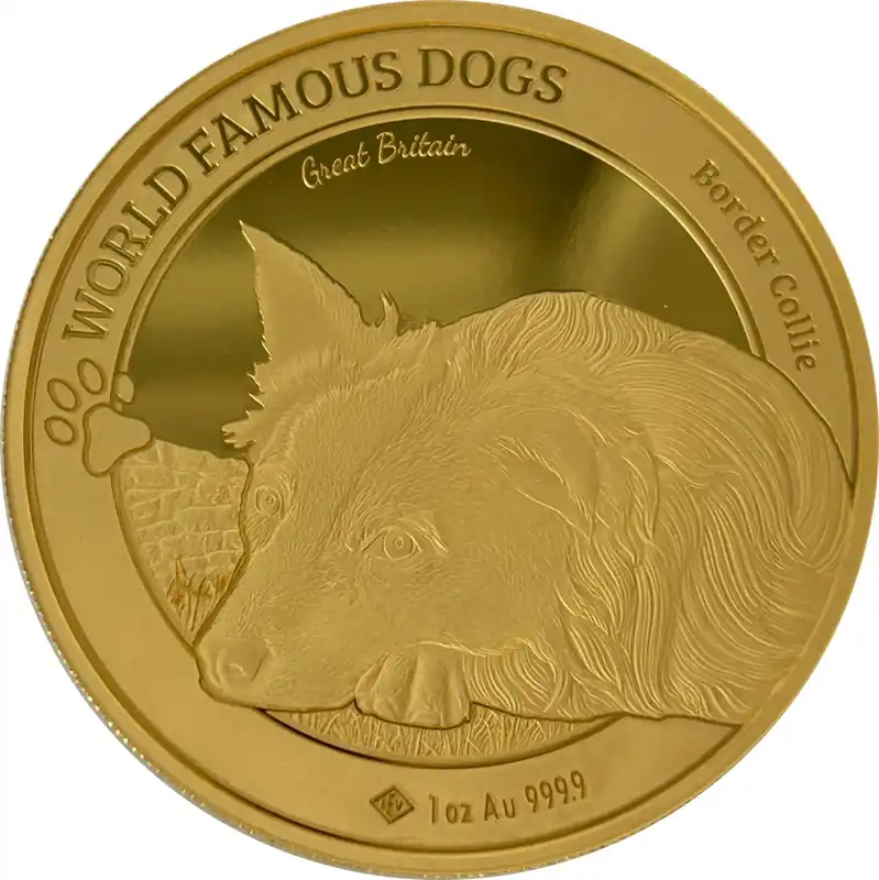 World Famous Dogs Border Collie 1 Unze Goldmünze 2025 Billig