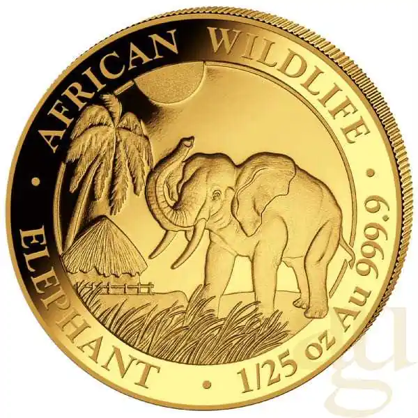 1/25 Unze Goldmünze Somalia Elefant 2017 Exklusiv