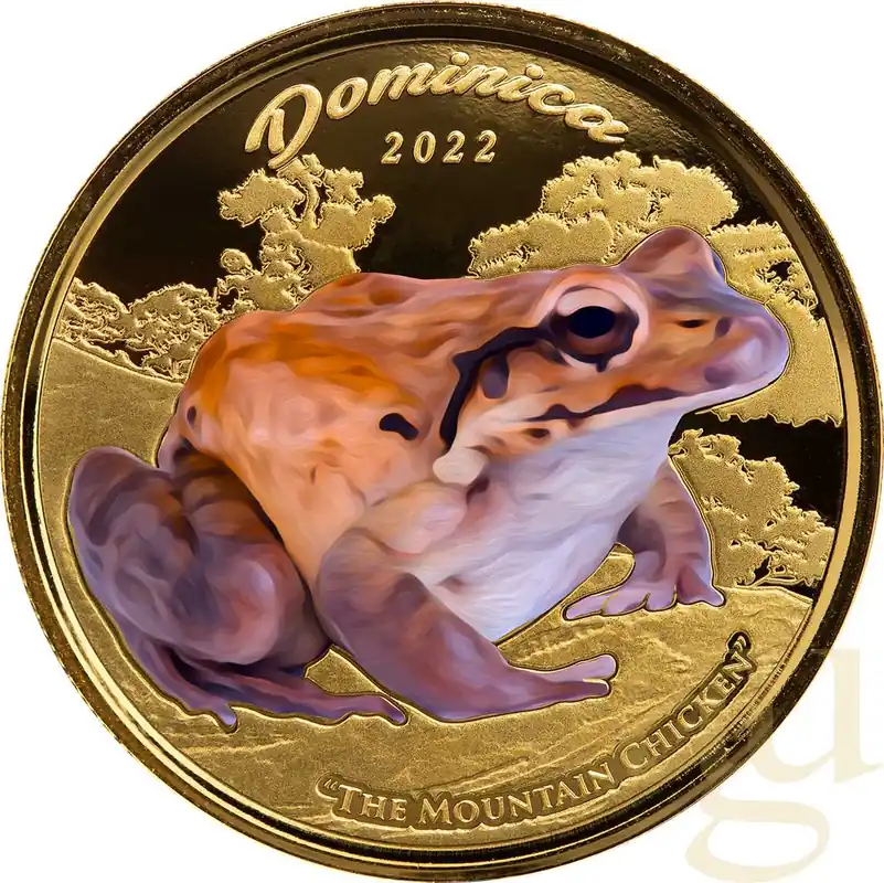 1 Unze Goldmünze EC8 Dominica - Mountain Chicken 2022 - coloriert Hochwertig