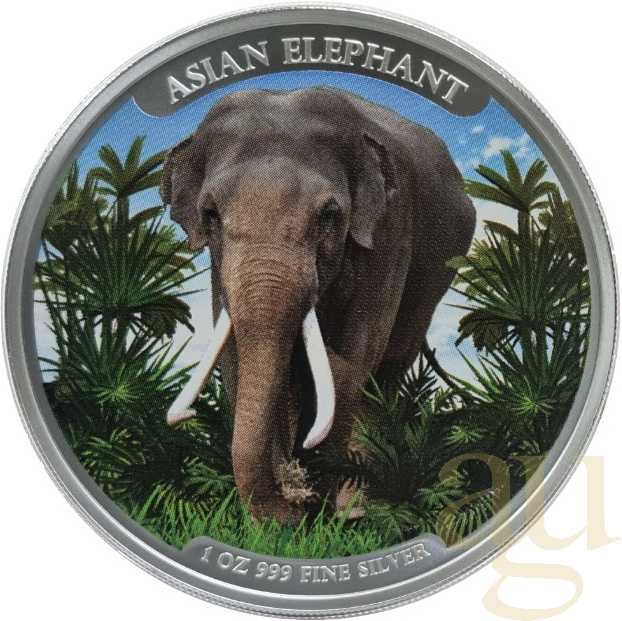Handgefertigt 1 Unze Silbermünze Kambodscha Asien Big Five Elefant 2023 - coloriert