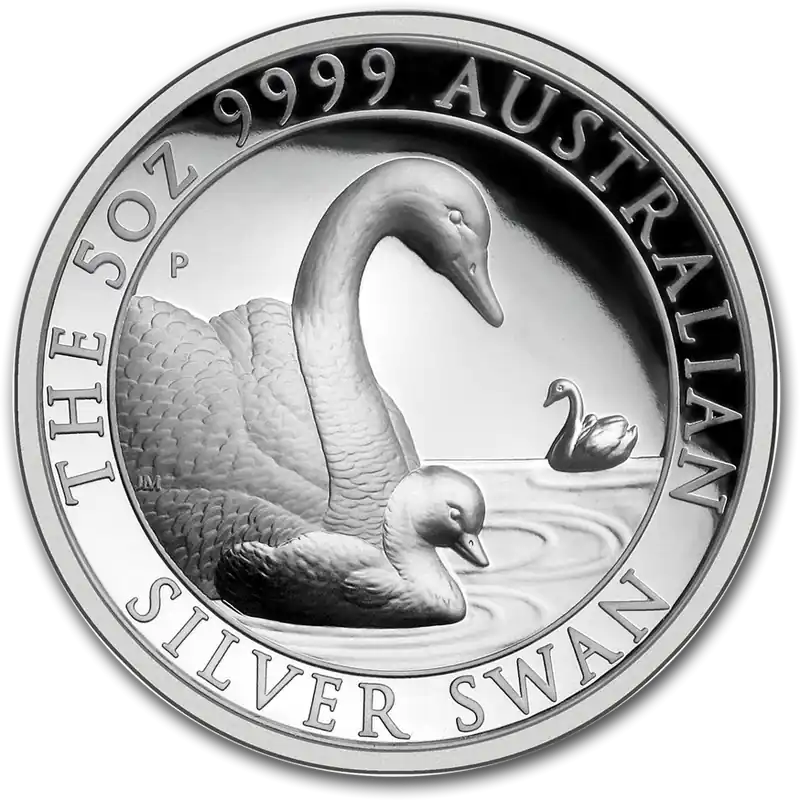 Top-Qualität 5 Unzen Silbermünze Australien Schwan 2019 - High Relief - polierte Platte