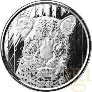 Top-Qualität 1 Unze Silbermünze Afrika Ghana Leopard 2023