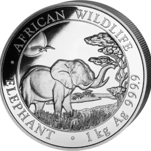 1 Kilogramm Silbermünze Somalia Elefant 2019 Gratis Versand