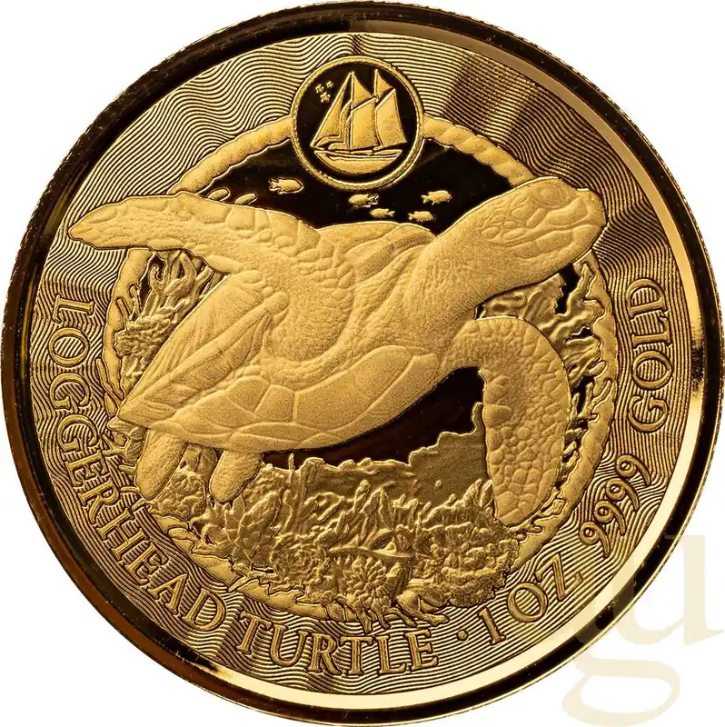 Preisreduziert 1 Unze Goldmünze Cayman Islands Schildkröte 2023
