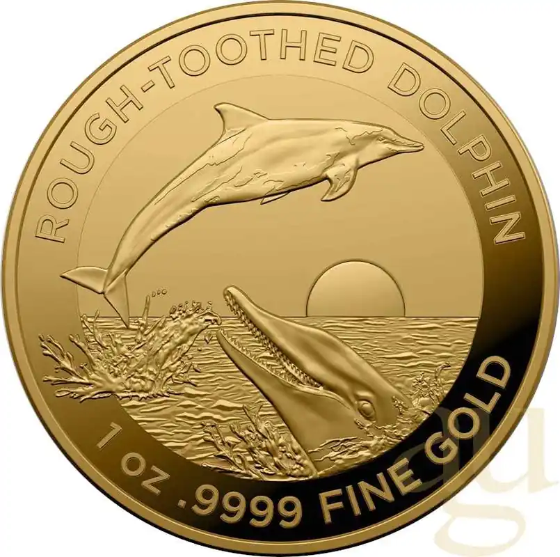 Highlight 1 Unze Goldmünze Australien Rough-Toothed Delfin 2023