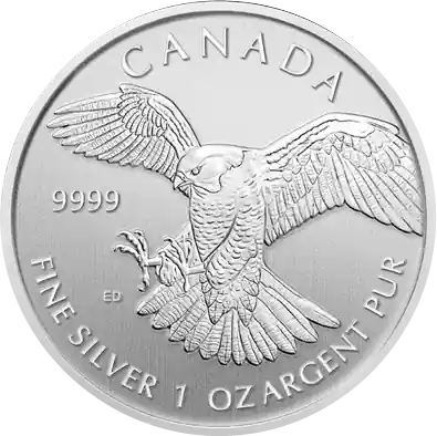 1 Unze Silbermünze Canada Birds of Prey - Peregrine Falcon 2014 - Wanderfalke Kracherpreis
