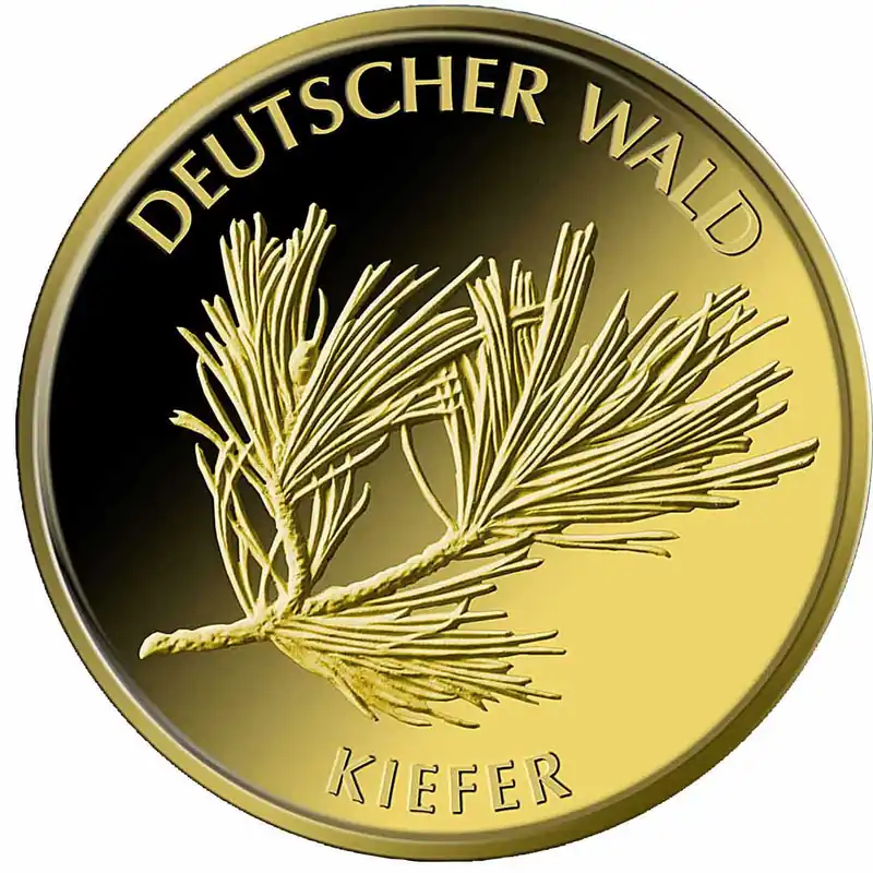 20 Euro Goldmünze Deutscher Wald - Kiefer 2013 (G) Großhandel
