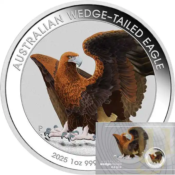 1 Unze Silbermünze Australien Wedge Tailed Eagle 2025 coloriert - Coincard Letzte Chance