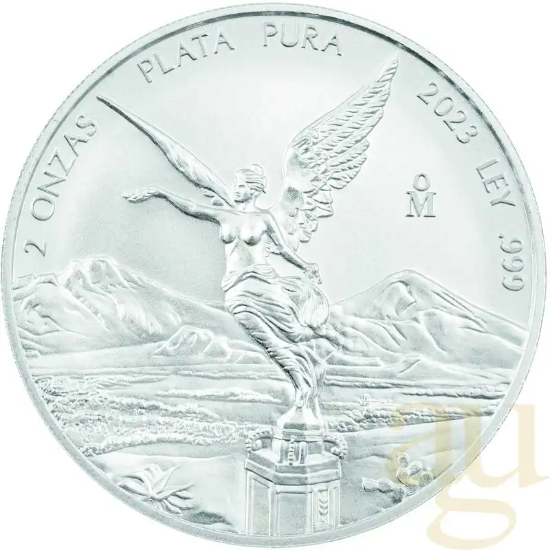 Gratis Versand 2 Unzen Silbermünze Mexiko Libertad 2024 - regelbesteuert