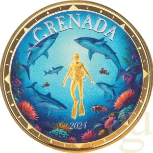1 Unze Goldmünze EC8 Grenada - Shark Diver 2024 - coloriert Neu Im Sortiment