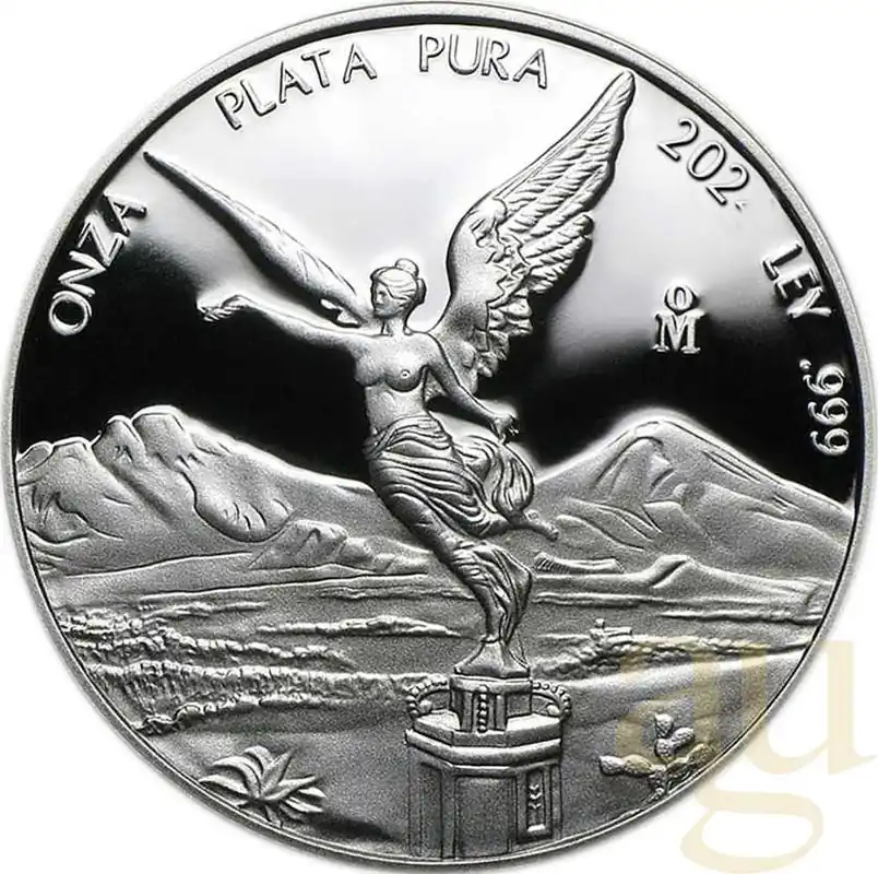 Top-Preis 1/10 Unze Silbermünze Mexiko Libertad 2024 - polierte Platte