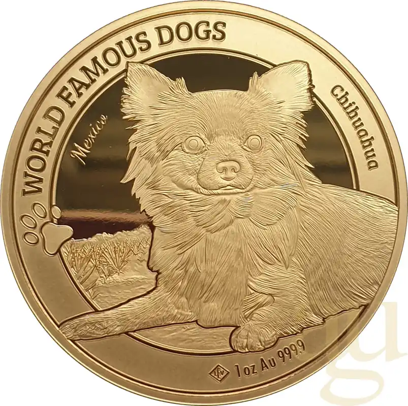 1 Unze Goldmünze World Famous Dogs - Chihuahua 2023 Heißes Angebot