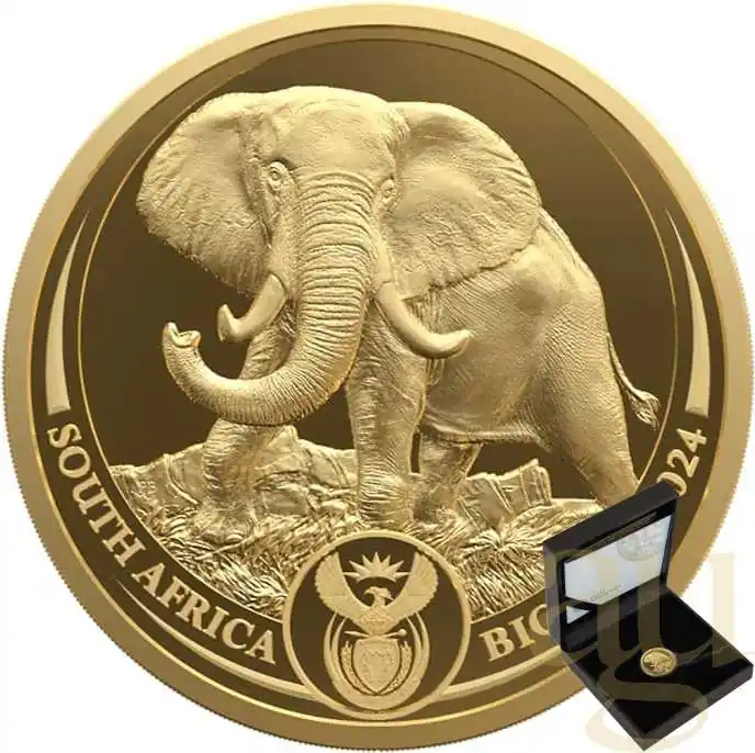 Original 1/4 Unze Goldmünze Südafrika Big Five Elefant 2024 proof