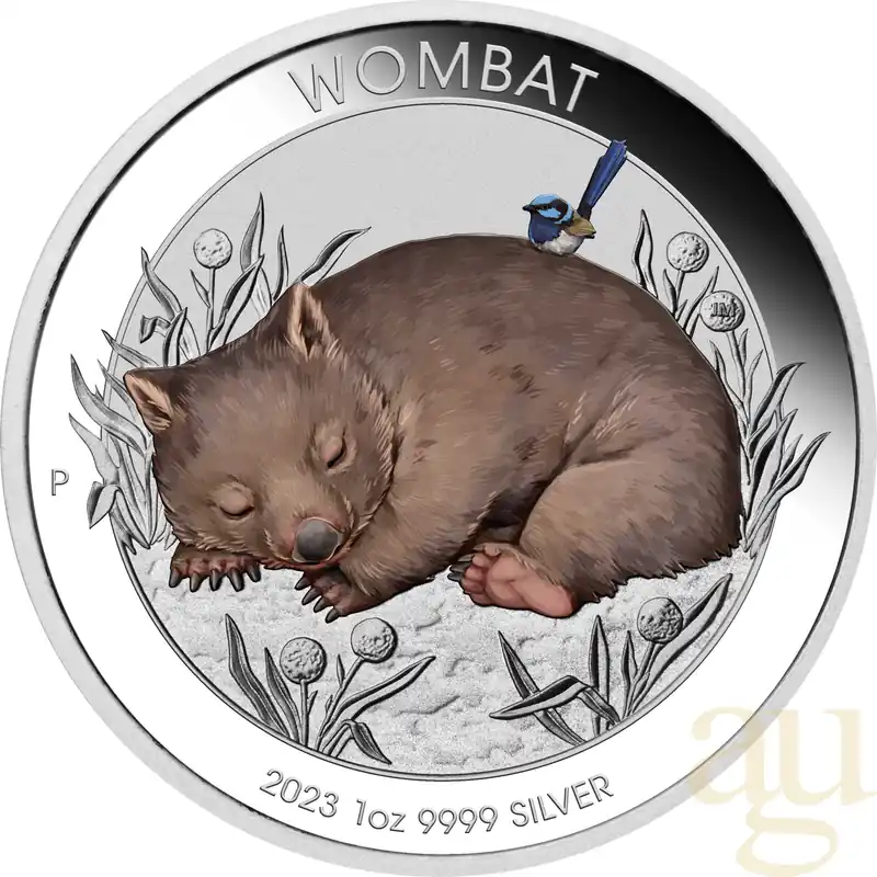 Heißes Angebot 1 Unze Silbermünze Australien Wombat 2023 coloriert - Coincard
