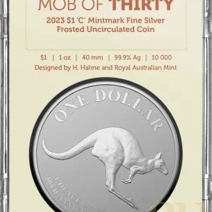 Jetzt Zugreifen 1 Unze Silbermünze Australien Känguru 2023 (RAM) - 30 Jahre Jubiläum