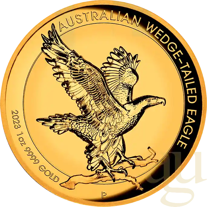 1 Unze Goldmünze Australien Wedge Tailed Eagle 2023 - Incused Coin Kostenloser Versand