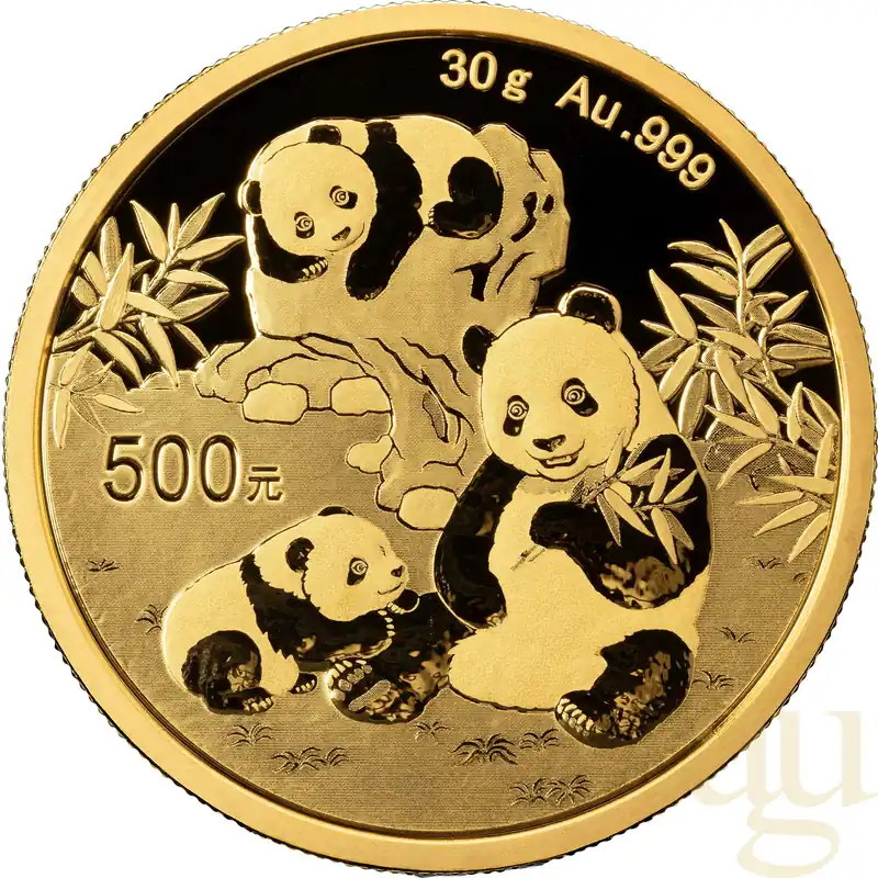 30 Gramm Goldmünze China Panda 2025 Neuheit