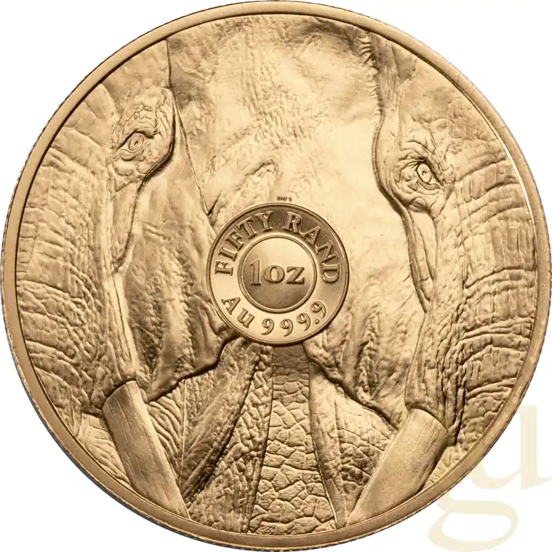 1 Unze Goldmünze Südafrika Big Five Elefant 2024 Nur Für Kurze Zeit