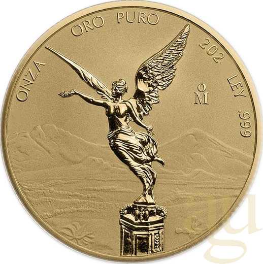 1/2 Unze Goldmünze Mexiko Libertad 2024 - Reverse polierte Platte Neue Ware