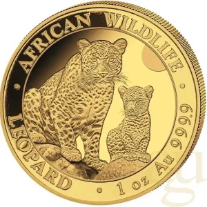 1 Unze Goldmünze Somalia African Wildlife Leopard 2024 Neu