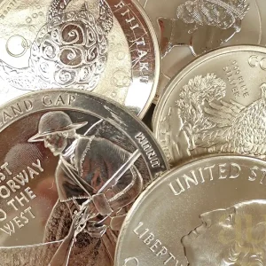 5 Unzen Silbermünze Kapitalanlage Direktkauf