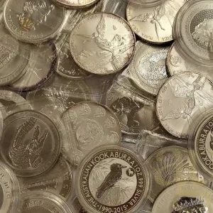 Heute Kaufen 1 Unze Silbermünze Kapitalanlage gemischt