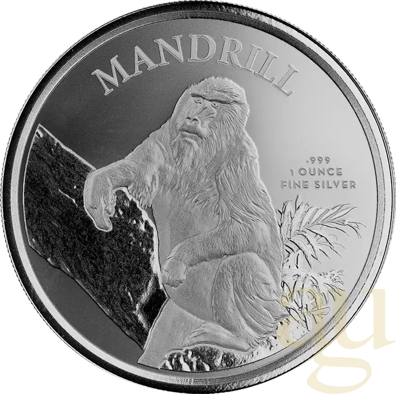 Kostenfreie Lieferung 1 Unze Silbermünze Kamerun Mandrill 2021