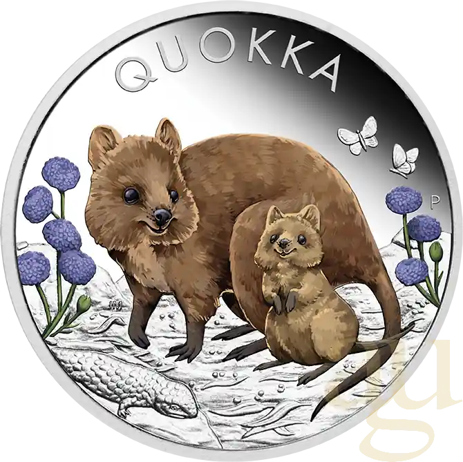 Kostenloser Versand 1 Unze Silbermünze Australien Quokka 2022 coloriert - polierte Platte