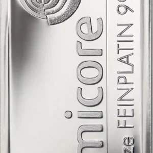 Direktkauf 31,1 Gramm Platinbarren