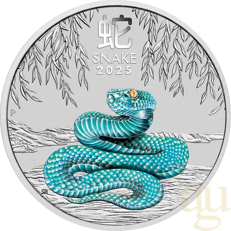 Schneller Versand 1 Unze Silbermünze Australien Lunar III Schlange 2025 - coloriert