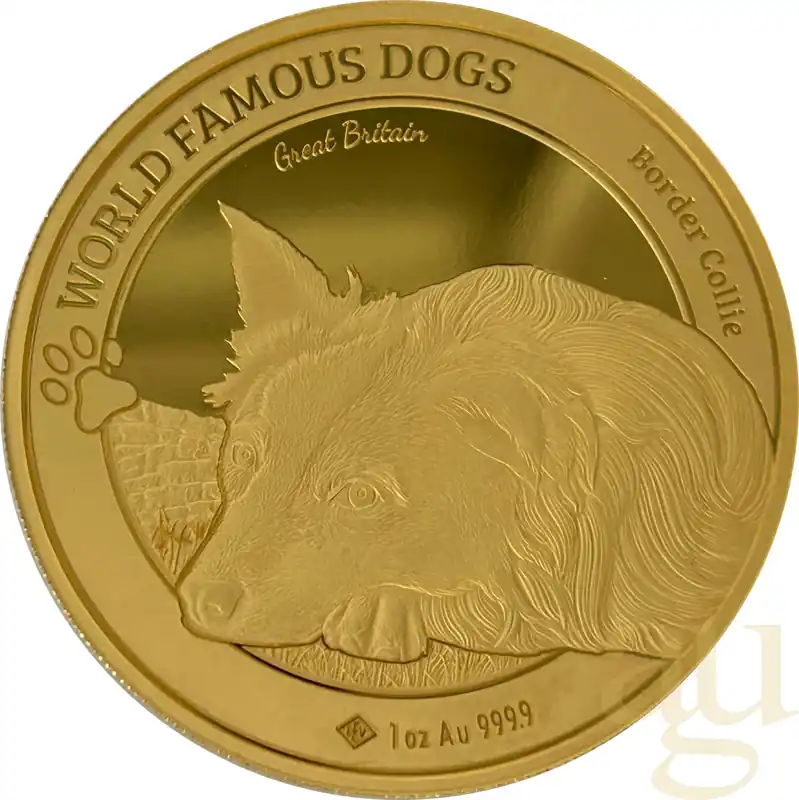 Letzte Chance 1 Unze Goldmünze World Famous Dogs - Border Collie 2025