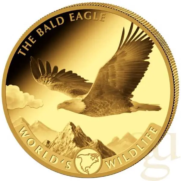 1 Unze Goldmünze Kongo World´s Wildlife - Weißkopfseeadler 2021 Knallerangebot