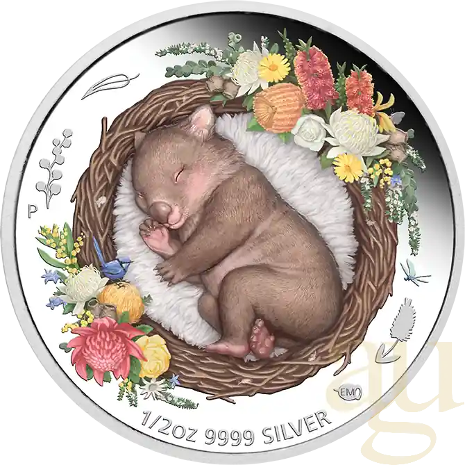 Gleich Bestellen 1/2 Unze Silbermünze Australien Dreaming Down Under - Wombat 2021 - proof color