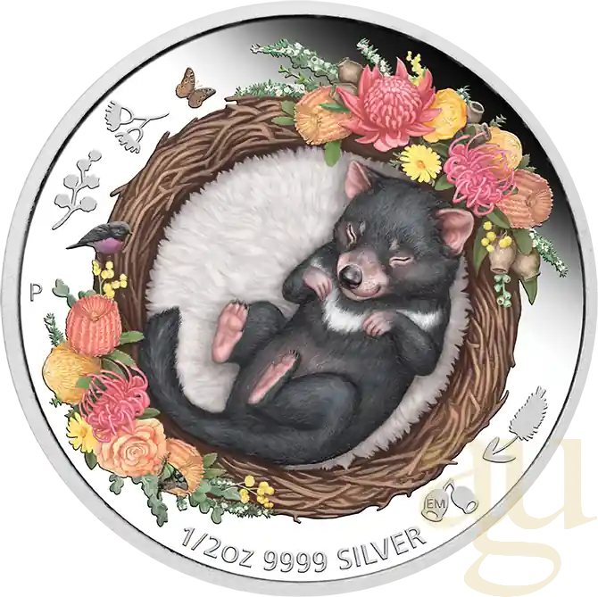 Gleich Bestellen 1/2 Unze Silbermünze Australien Dreaming Down Under - Tasmanian Devil 2021 - proof color