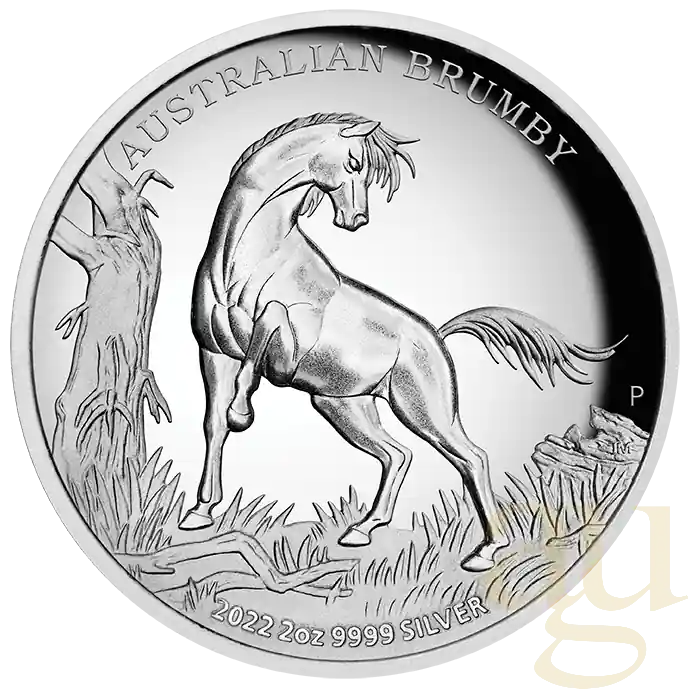 Top-Preis 2 Unzen Silbermünze Australien Brumby 2022 - High Relief - polierte Platte
