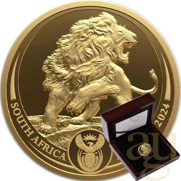 Billig 1/4 Unze Goldmünze Südafrika Big Five Löwe 2025 proof