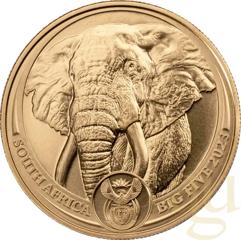 1 Unze Goldmünze Südafrika Big Five Elefant 2023 Heute Kaufen