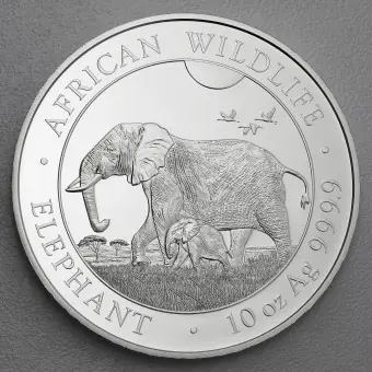 Silbermünze 10oz "Elefant" 2022 African Wildlife (Somalia) Direktkauf