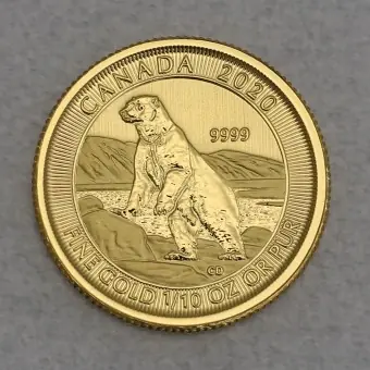 Goldmünze 1/10oz "Polarbär" 2020 (Kanada) Preiswert