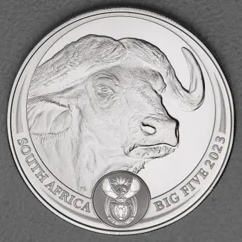 Silbermünze 1oz "Büffel" 2023 Big Five II (Südafrika) Original