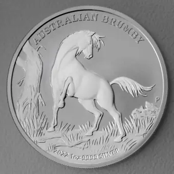 Heißes Angebot Silbermünze 1oz "Brumby" 2022 diff. (Australien)