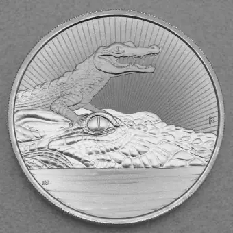 Silbermünze 2oz "Mother & Baby Krokodil" 2019 Next Generation (Australien) Heute Kaufen