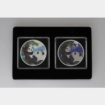 Geprüft Silbermünzen 2 x 30g "Panda" 2021 (koloriert) Set – 2-teilig Night & Day (China)