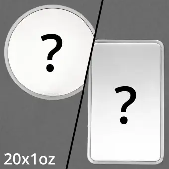 Junk-Silber-Bag 20x 1oz "Silver Surprise" diff. Set aus diversen Münzen/Münzbarren Echt