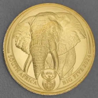 Goldmünze 1oz "Elefant" 2024 Big Five II (Südafrika) Sofort Bestellen