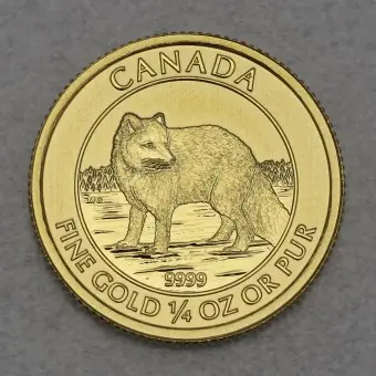 Goldmünze 1/4oz "Polarfuchs" 2014 (Kanada) Schnäppchen