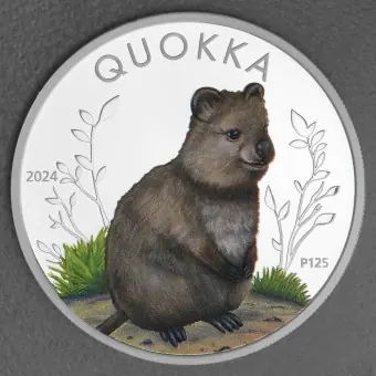 Heute Kaufen Silbermünze 1oz "Quokka" 2024 (PP/koloriert) (Australien)