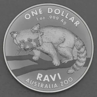 Silbermünze 1oz "Ravi" Roter Panda 2018 (frosted) Australia Zoo (Australien) Solange Der Vorrat Reicht
