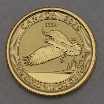 Aktuell Goldmünze 1/10oz "Adler" 2020 (Kanada)